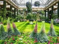 Пазл Оранжерея