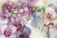 Пазл Орхидеи