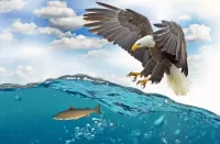 Пазл Орлан рыболов