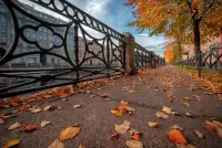 Пазл Осень на Мойке