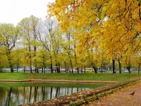 Пазл Осень Питер