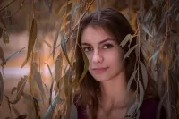 Пазл Осень пришла