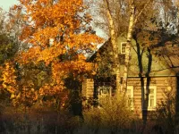 Пазл осень в деревне