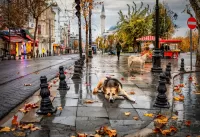 Пазл Осень в городе