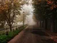 Пазл Осень в парке