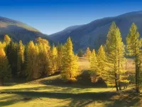 Пазл Осень в Язуле