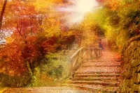 Пазл Осеннее солнце