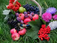 Пазл Осеннее угощение