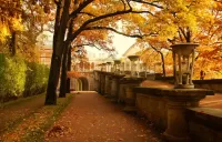 Пазл Осеннее утро 