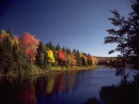 Пазл Осенние краски