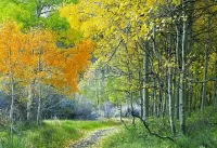 Пазл Осенние краски 
