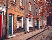 Пазл Осенние листья