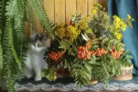 Пазл Осенний букет 