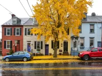 Пазл Осенний день