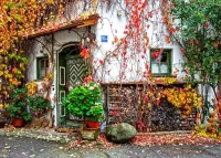 Пазл Осенний дворик