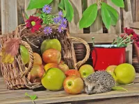 Пазл Осенний натюрморт