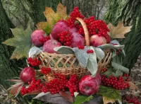 Пазл Осенний натюрморт 