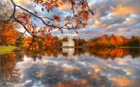 Пазл Осенний парк