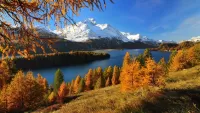 Пазл Осенний пейзаж