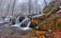 Пазл Осенний водопад