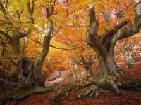 Пазл Осенний Крым