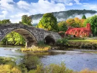 Пазл Осенний туман