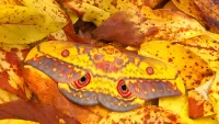 Пазл Осенняя маскировка