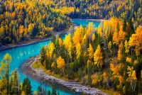 Пазл Осенняя пора 