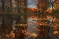 Пазл Осенняя шкатулка