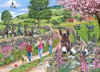 Пазл Ослиная ферма