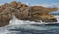 Пазл Остров Крокорок