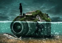 Пазл Остров Никон