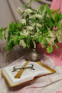 Пазл Открытая книга