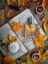 Пазл Открытая книга