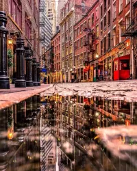 Пазл Отражение