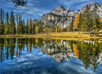 Пазл Отражение