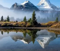 Пазл Отражение