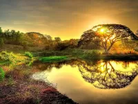 Пазл Отражение