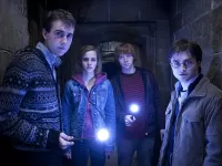 Пазл Отряд Дамболдора