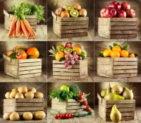 Пазл овощи