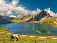 Пазл Озеро. Горы.