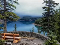 Пазл Озеро лес