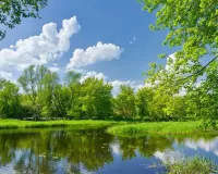 Пазл Озеро летом
