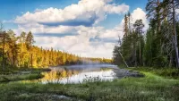 Пазл Озеро в лесу
