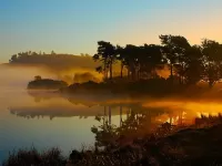 Пазл Озеро в тумане