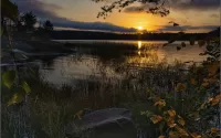 Пазл Озёрная тишина