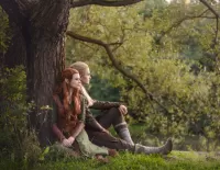 Пазл Пара эльфов