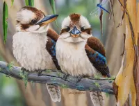 Пазл Пара кукабар