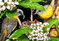 Пазл Пара птиц