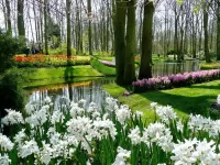 Пазл Парк цветы